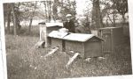 Pan Antoni Puchalski i jego ukochane pszczoły. Rok ok. 1950